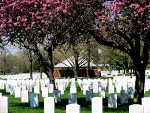 Nationalfriedhof in den USA