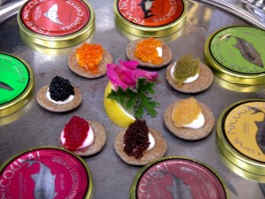 Kaviar in verschiedenen Farben